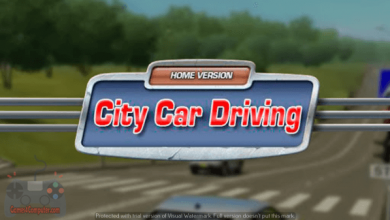 city car driving